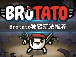 《Brotato》独臂带什么武器？独臂玩法推荐